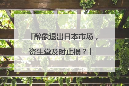 醉象退出日本市场，资生堂及时止损？
