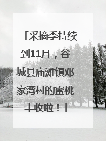 采摘季持续到11月，谷城县庙滩镇邓家湾村的蜜桃丰收啦！