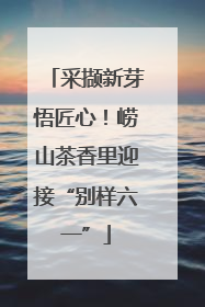 采撷新芽悟匠心！崂山茶香里迎接“别样六一”