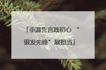 重温誓言践初心 “银发先锋”展担当