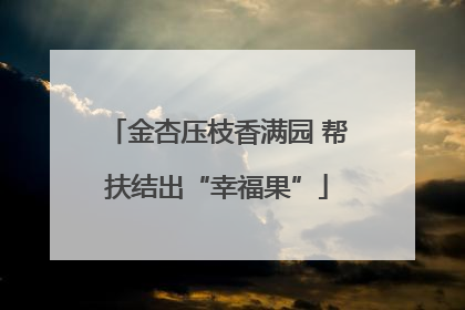 金杏压枝香满园 帮扶结出“幸福果”