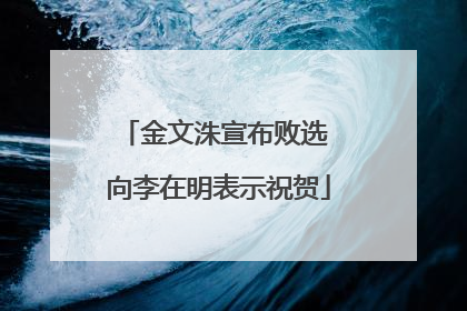 金文洙宣布败选 向李在明表示祝贺