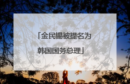 金民锡被提名为韩国国务总理