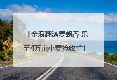 金浪翻滚麦飘香 乐至4万亩小麦抢收忙