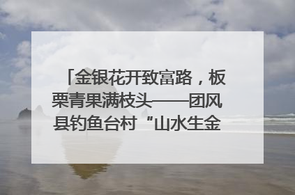金银花开致富路，板栗青果满枝头——团风县钓鱼台村“山水生金”谱写共富新篇章