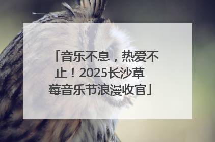 音乐不息，热爱不止！2025长沙草莓音乐节浪漫收官