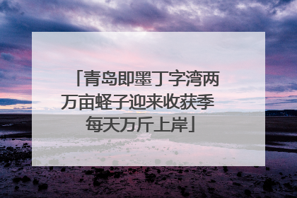 青岛即墨丁字湾两万亩蛏子迎来收获季 每天万斤上岸