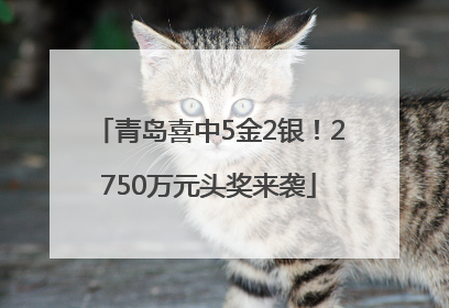 青岛喜中5金2银！2750万元头奖来袭