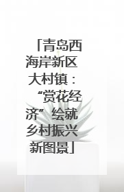青岛西海岸新区大村镇：“赏花经济”绘就乡村振兴新图景