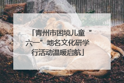 青州市困境儿童“六一”地名文化研学行活动温暖启航