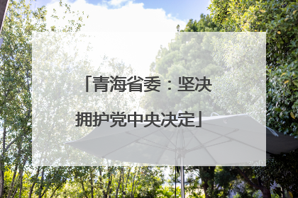 青海省委：坚决拥护党中央决定