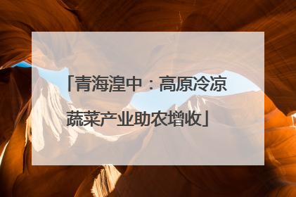 青海湟中：高原冷凉蔬菜产业助农增收