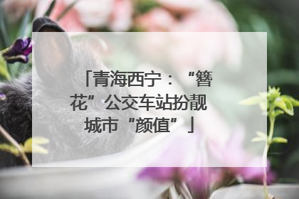青海西宁：“簪花”公交车站扮靓城市“颜值”
