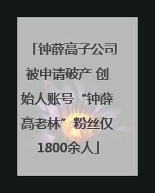 钟薛高子公司被申请破产 创始人账号“钟薛高老林”粉丝仅1800余人