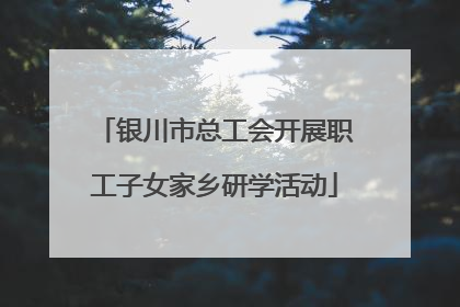 银川市总工会开展职工子女家乡研学活动
