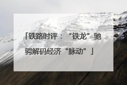 铁路时评：“铁龙”驰骋解码经济“脉动”