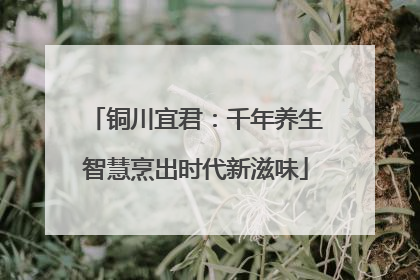铜川宜君：千年养生智慧烹出时代新滋味