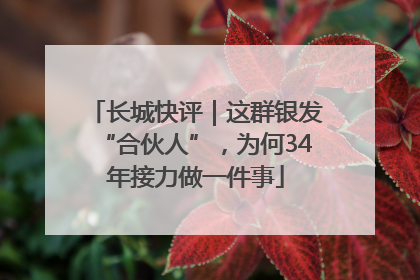 长城快评｜这群银发“合伙人”，为何34年接力做一件事