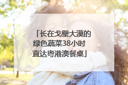 长在戈壁大漠的绿色蔬菜38小时直达粤港澳餐桌