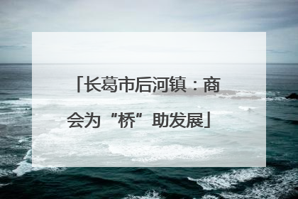 长葛市后河镇：商会为“桥”助发展