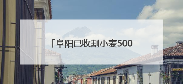 阜阳已收割小麦500多万亩 进度达70%