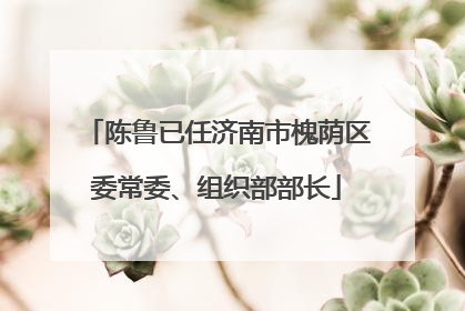 陈鲁已任济南市槐荫区委常委、组织部部长