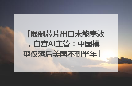 限制芯片出口未能奏效，白宫AI主管：中国模型仅落后美国不到半年