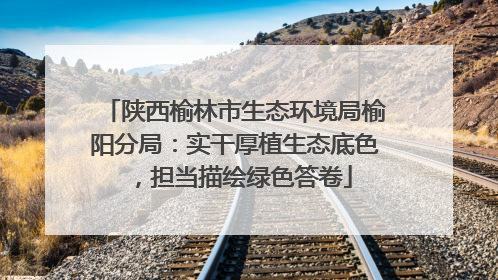 陕西榆林市生态环境局榆阳分局：实干厚植生态底色，担当描绘绿色答卷