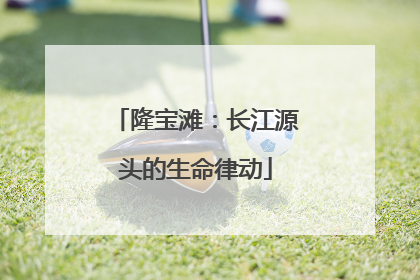 隆宝滩：长江源头的生命律动