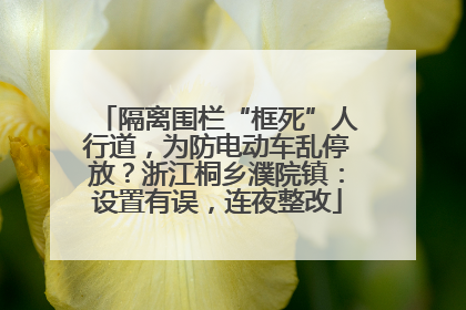 隔离围栏“框死”人行道，为防电动车乱停放？浙江桐乡濮院镇：设置有误，连夜整改