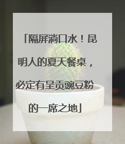 隔屏淌口水！昆明人的夏天餐桌，必定有呈贡豌豆粉的一席之地