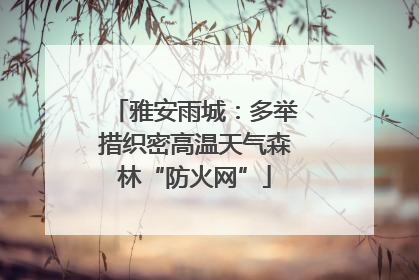 雅安雨城：多举措织密高温天气森林“防火网”