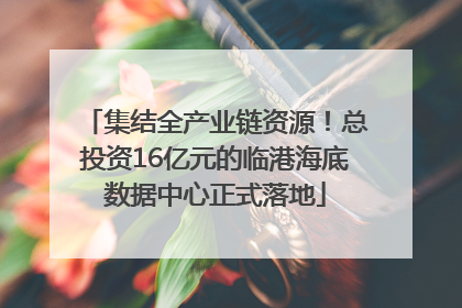 集结全产业链资源！总投资16亿元的临港海底数据中心正式落地
