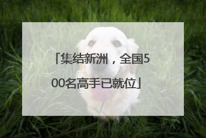 集结新洲，全国500名高手已就位