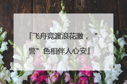 飞舟竞渡浪花激，“警”色相伴人心安