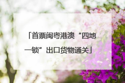 首票闽粤港澳“四地一锁”出口货物通关
