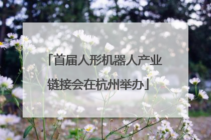 首届人形机器人产业链接会在杭州举办