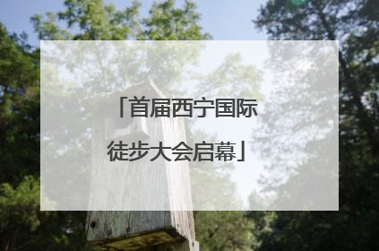 首届西宁国际徒步大会启幕