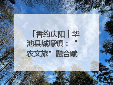 香约庆阳|华池县城壕镇:“农文旅”融合赋能乡村振兴