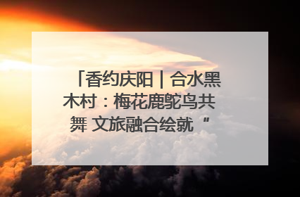 香约庆阳｜合水黑木村：梅花鹿鸵鸟共舞 文旅融合绘就“诗与远方”