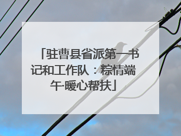 驻曹县省派第一书记和工作队：粽情端午·暖心帮扶