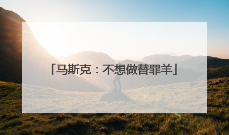 马斯克：不想做替罪羊