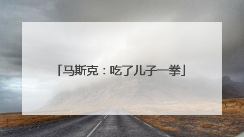 马斯克：吃了儿子一拳