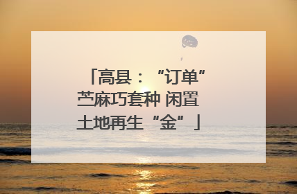 高县：“订单”苎麻巧套种 闲置土地再生“金”