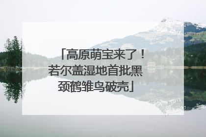 高原萌宝来了！若尔盖湿地首批黑颈鹤雏鸟破壳