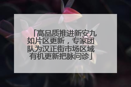 高品质推进新安九如片区更新，专家团队为汉正街市场区域有机更新把脉问诊