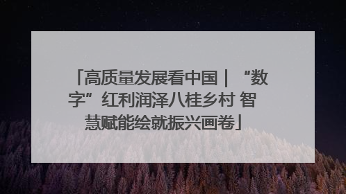 高质量发展看中国｜“数字”红利润泽八桂乡村 智慧赋能绘就振兴画卷