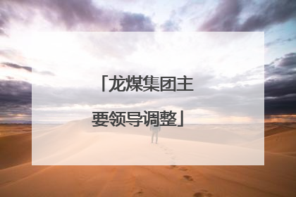 龙煤集团主要领导调整