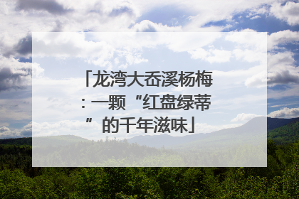 龙湾大岙溪杨梅：一颗“红盘绿蒂”的千年滋味