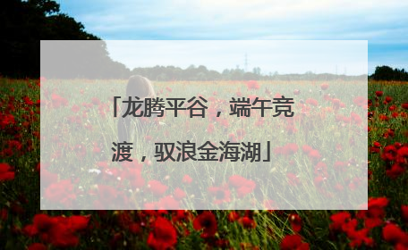 龙腾平谷，端午竞渡，驭浪金海湖